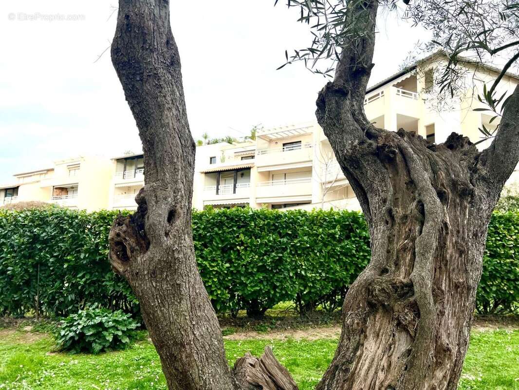 Appartement 62m² à ANTIBES - photo 13