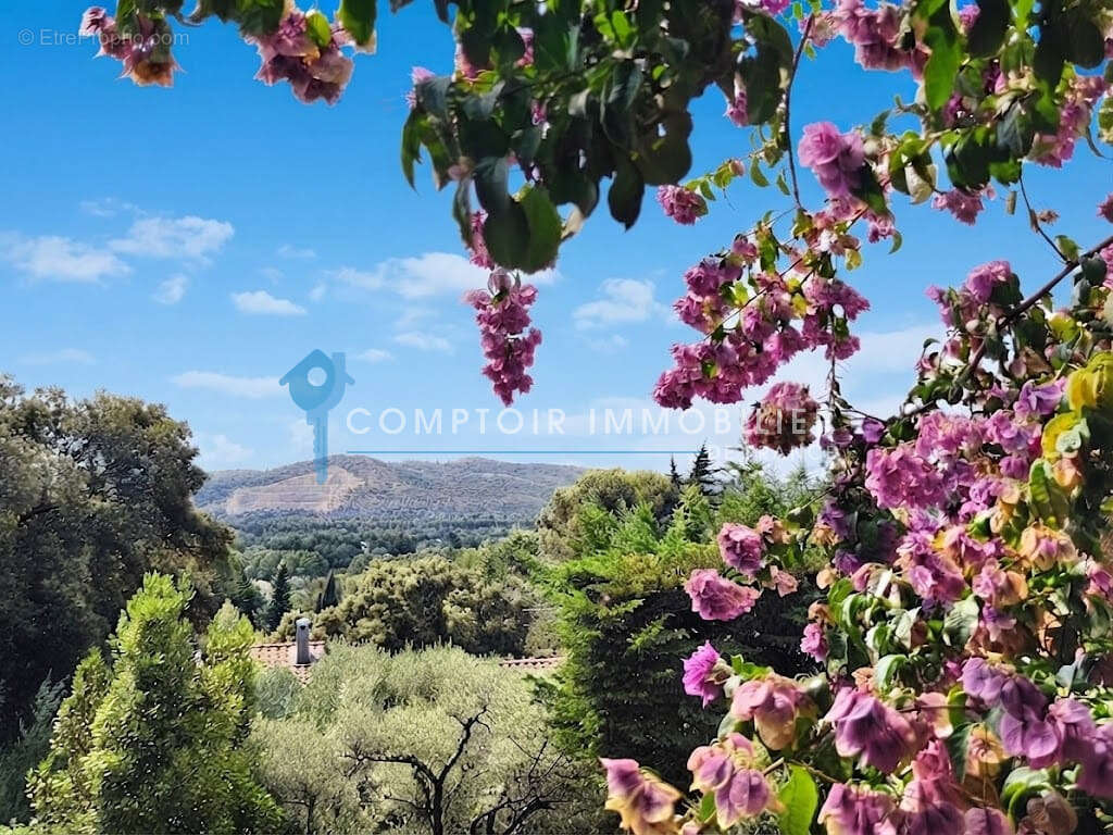 Dpt (30) aramon a vendre propriete jardin et piscine - photo 22