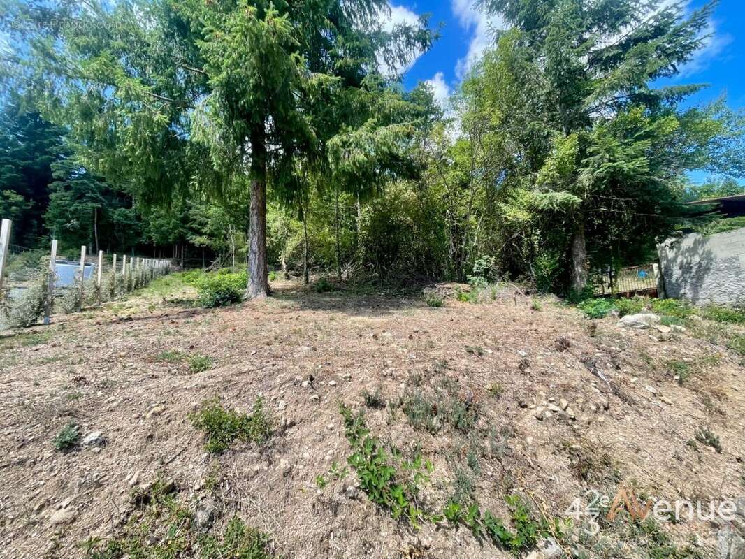 Terrain 1212 m² à Bas-En-Basset  - photo 2