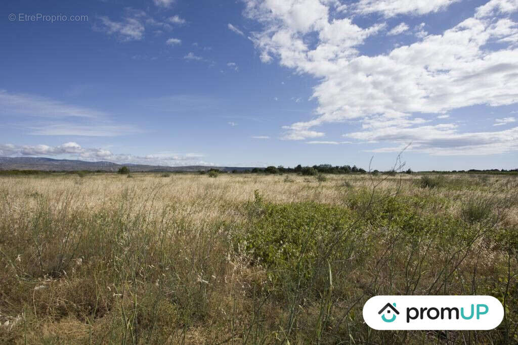 Terrain à SAINT-HIPPOLYTE