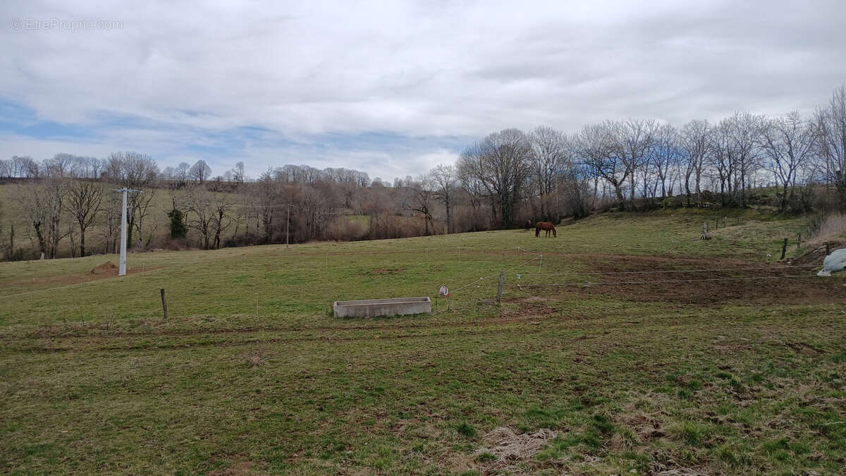 Maison à ANGLARDS-DE-SALERS