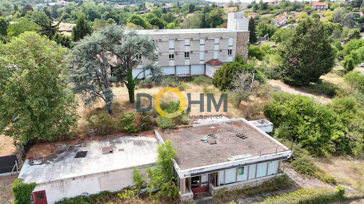 Ensemble immobilier d'exception à Brioude   Plus de 1 700 m2 bâtis sur 7 700 m2 de terrain - photo 3