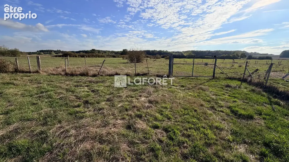 Terrain Villers En Argonne 7350 m2 - photo 9