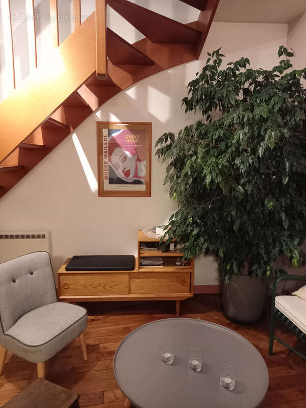 Duplex 97.27m2 Carrez/123.92m2 au sol/ 5/6 pièces + Cave 20m2 - photo 3