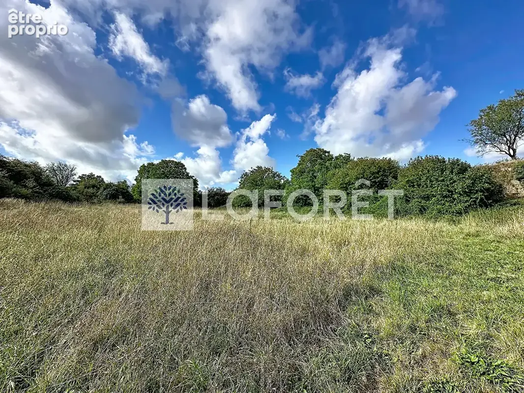 Vente maison la grimaudiere - photo 7