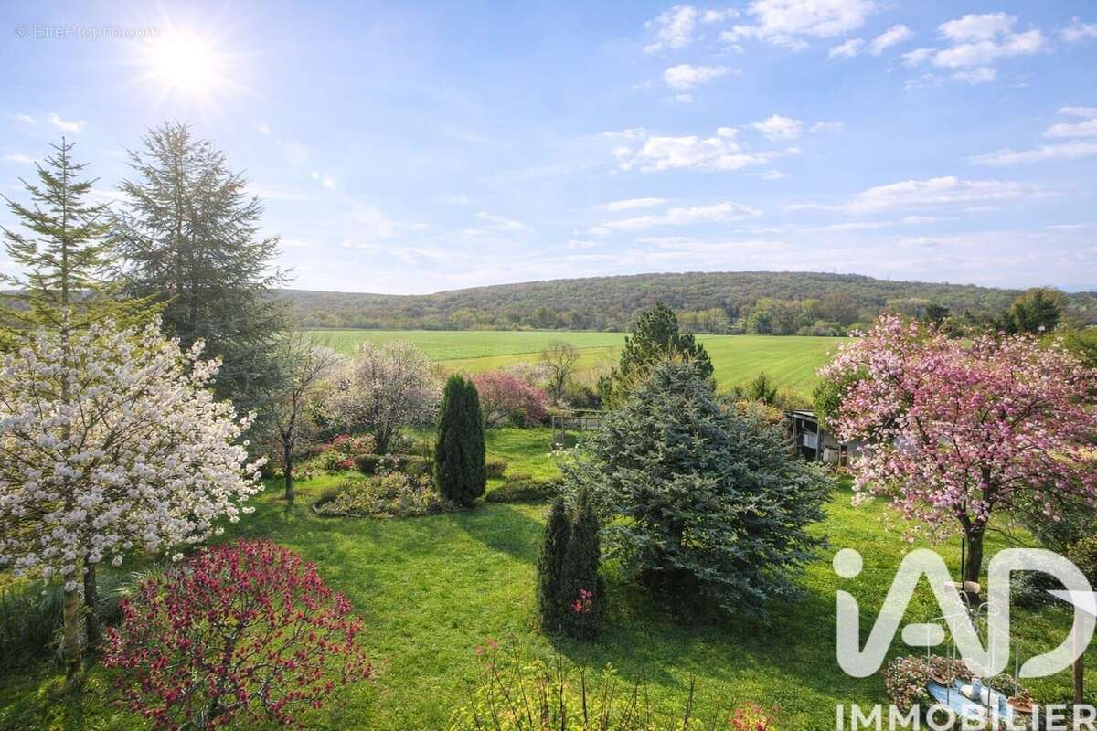 Photo 8 - Maison à LA FERTE-SOUS-JOUARRE