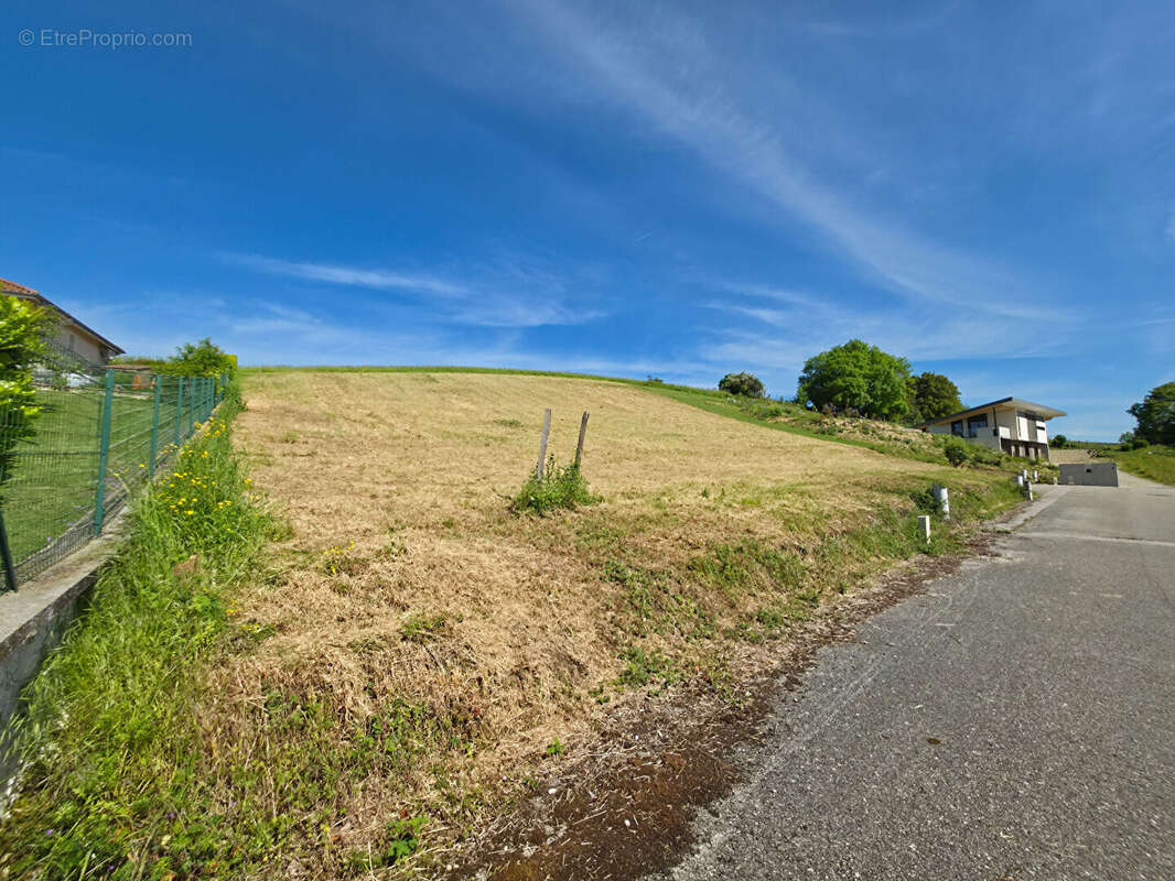 Terrain à BELMONT
