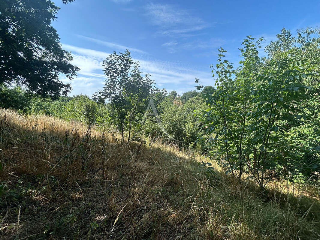 Terrain à CHATEAU-GONTIER