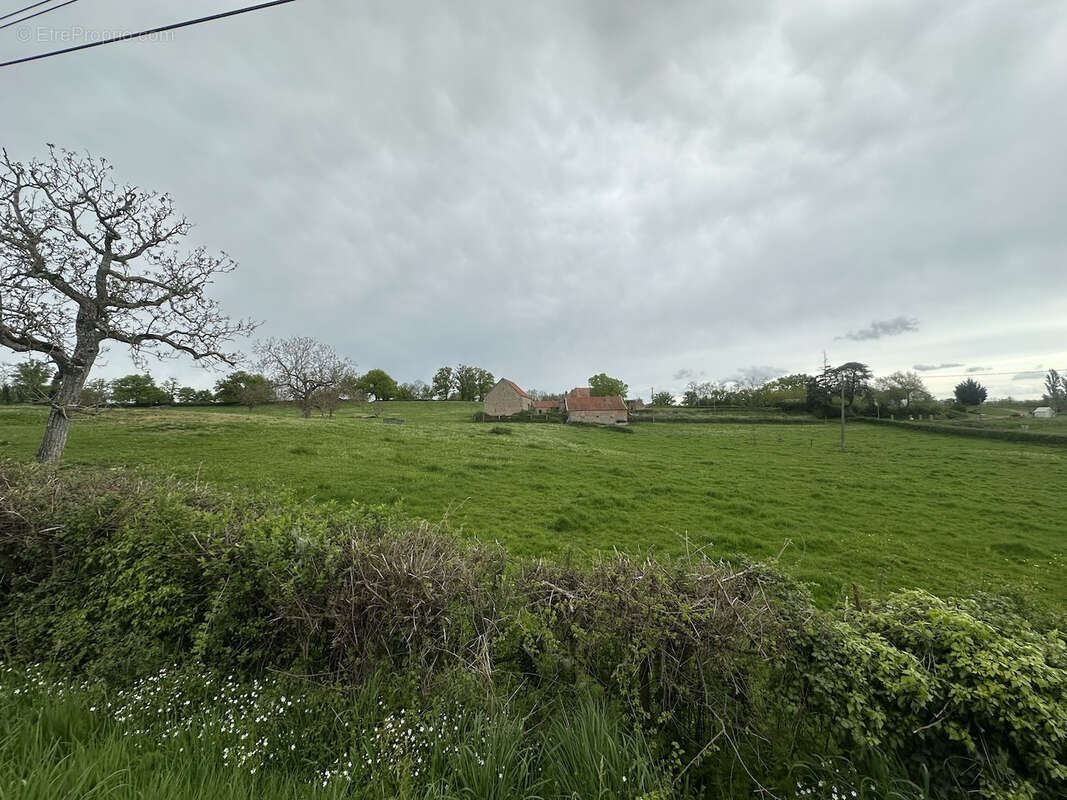 Maison à BOURG-LE-COMTE
