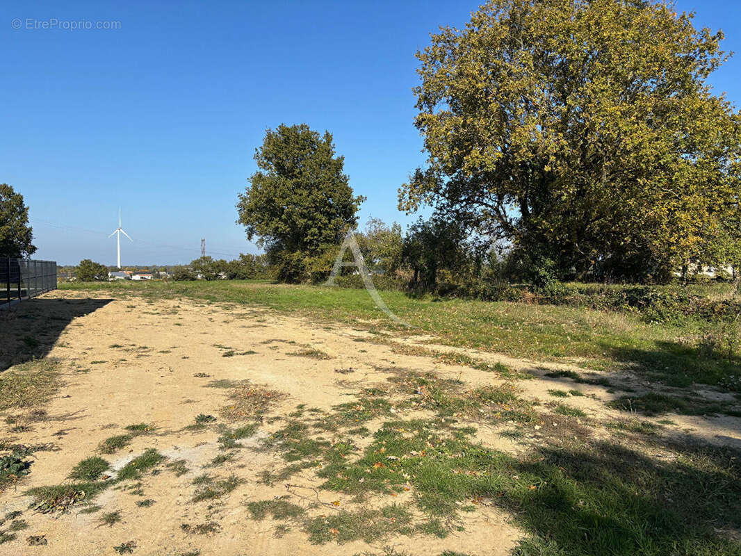 Terrain à LIGNE