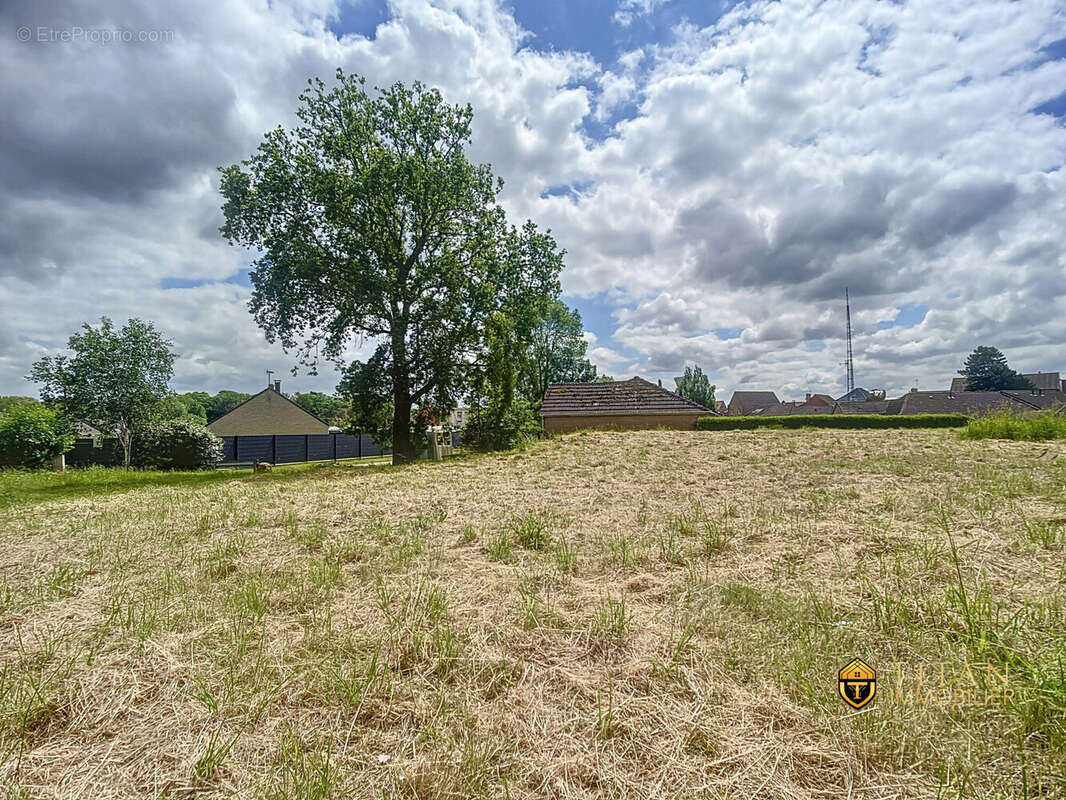 Terrain à bâtir Rexpoëde - Titan Immobilier - Terrain à REXPOEDE
