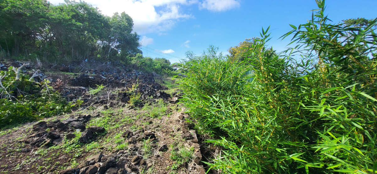 Terrain à SAINT-LEU