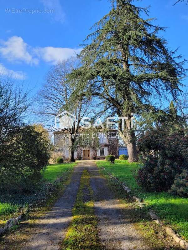 Maison 380 m² à Fauillet  - photo 7