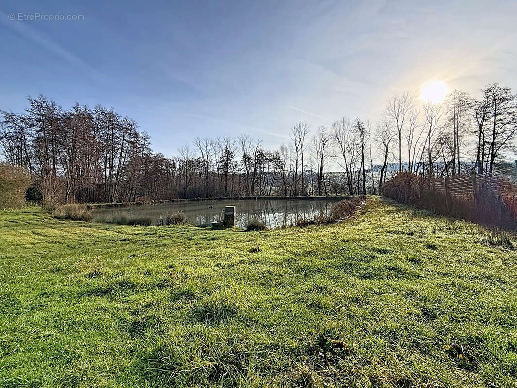 Terrain à MIRECOURT