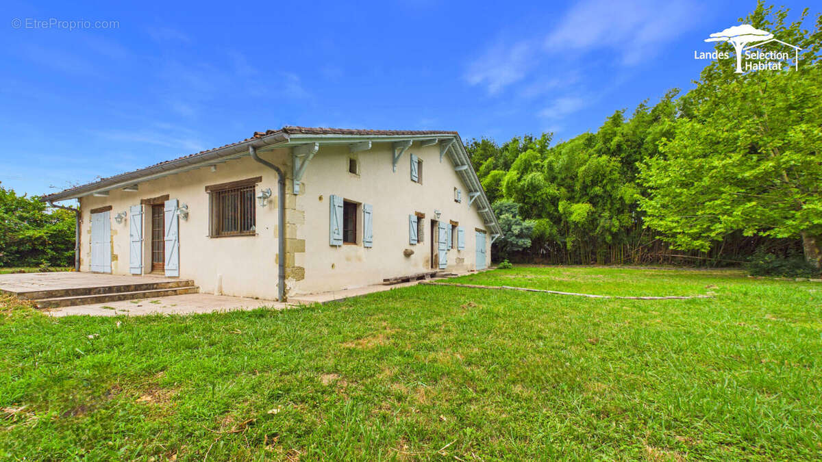 Charmante Landaise en pierre de 200 m² hab + dépendances - photo 3