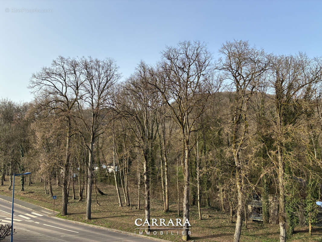 Appartement à ARS-SUR-MOSELLE