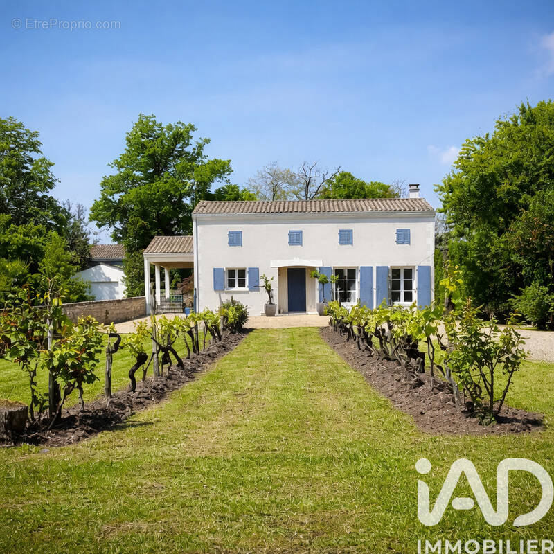 Photo 1 - Maison à SAINT-FORT-SUR-GIRONDE