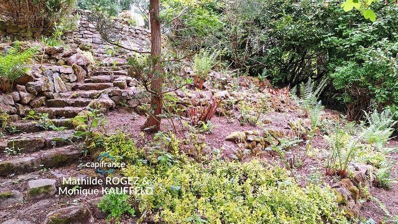 Grande demeure de charme + gîte + grand terrain - Tours-sur-Meymont - photo 25