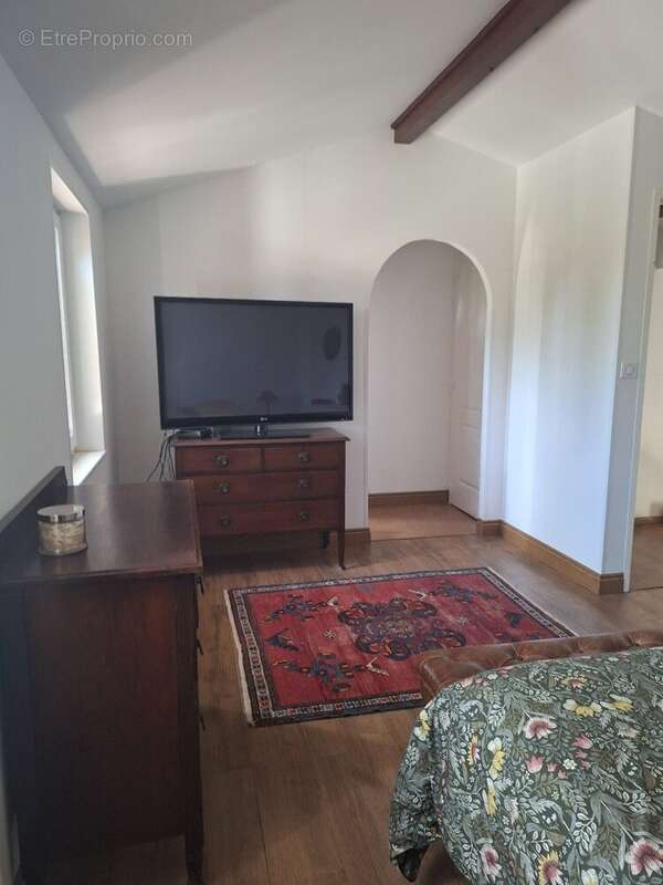 Maison 250 m² à Sainte-Severe  - photo 18