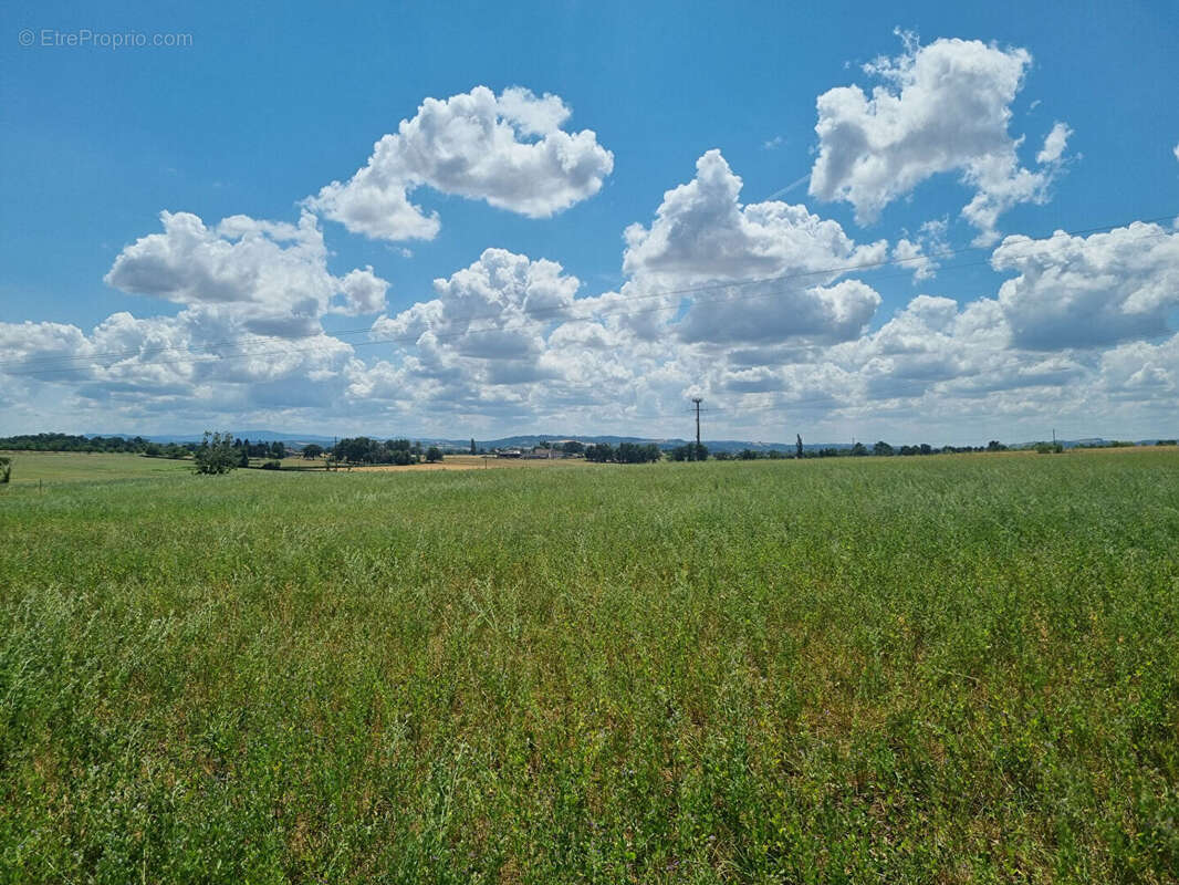 Terrain à SAINT-GERAND-LE-PUY