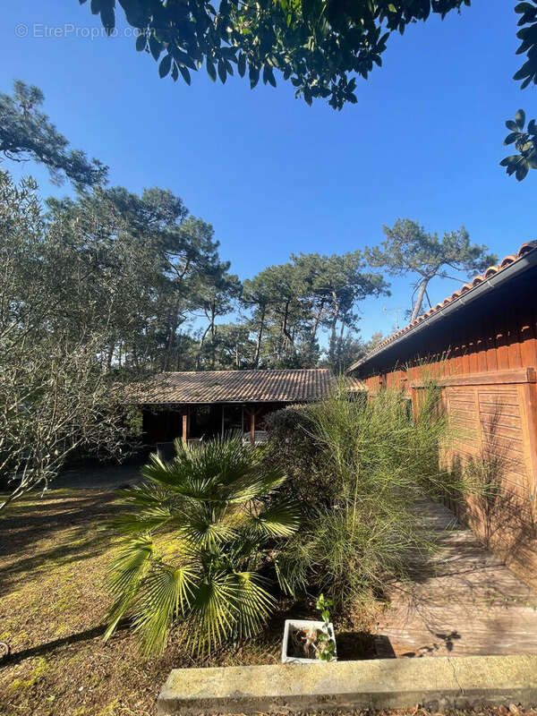 Maison à LEGE-CAP-FERRET