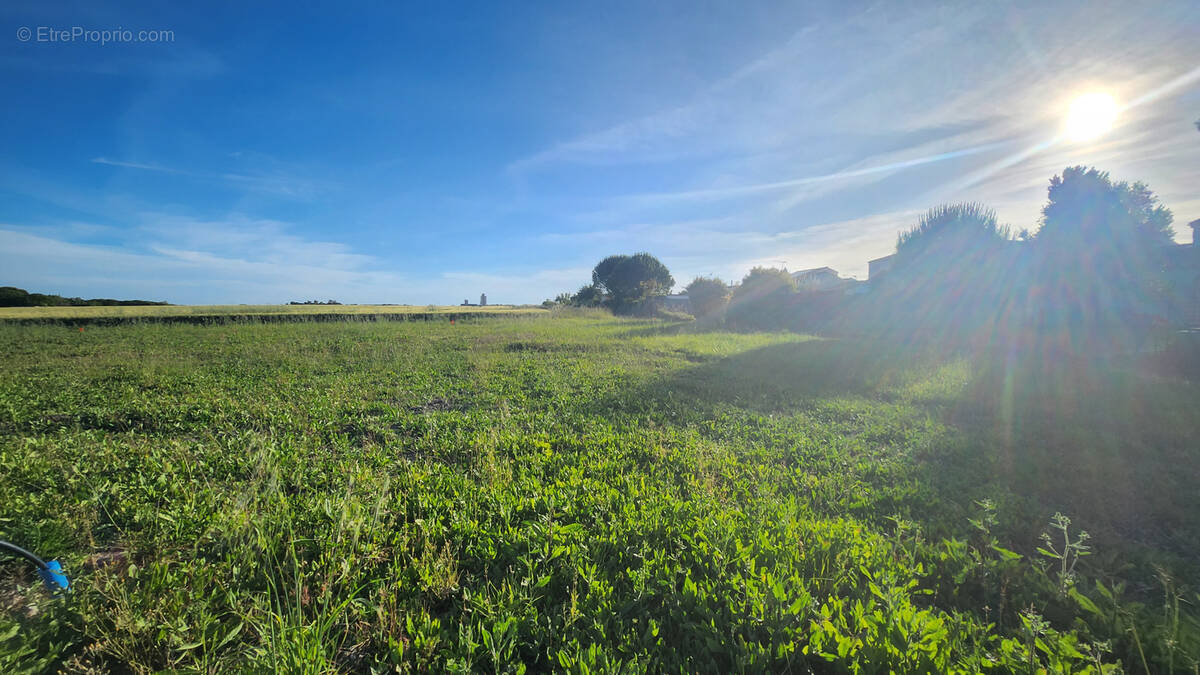Terrain à MORNAC-SUR-SEUDRE