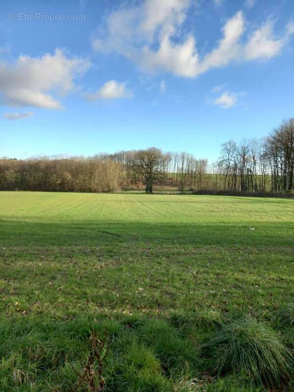 Maison à CHEMILLE-SUR-INDROIS