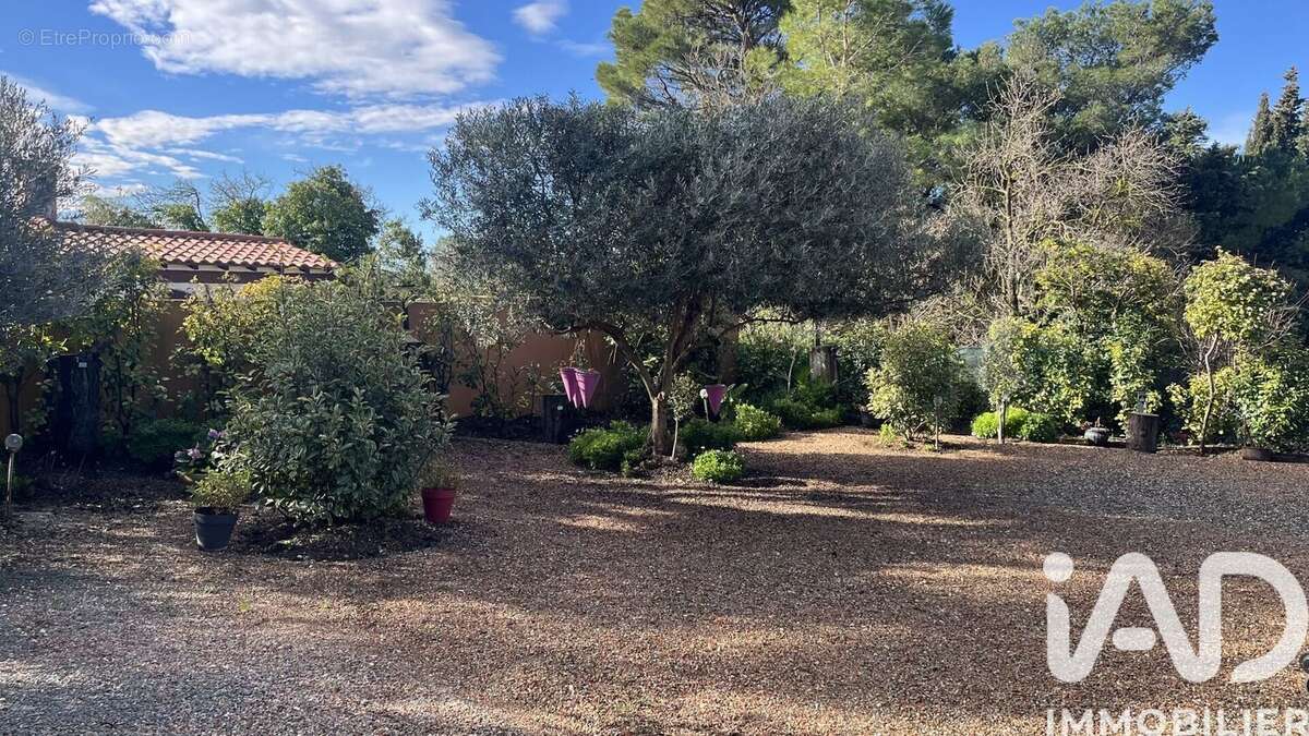 Photo 5 - Maison à SALLES-D'AUDE