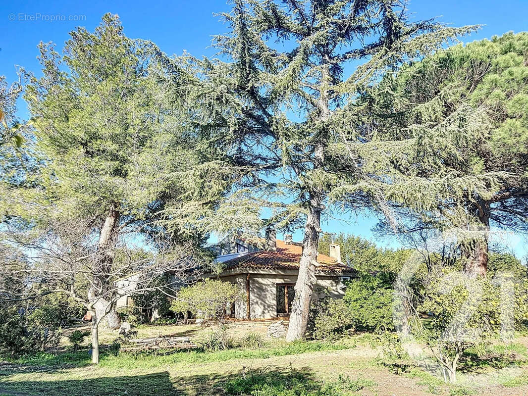 Maison à ELNE