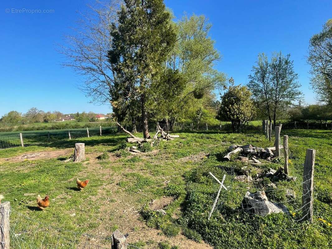 Maison 105 m² à Saint-Bonnet-En-Bresse  - photo 6