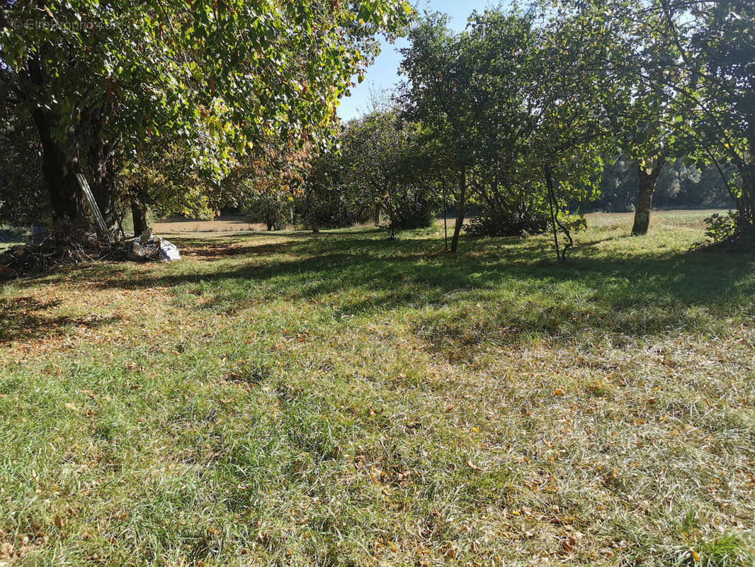 Terrain à SAMATAN