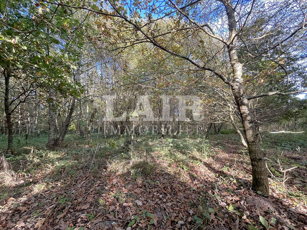 Terrain à SAINT-AQUILIN-DE-CORBION