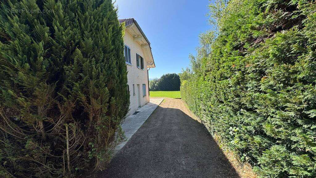 Maison 6 pièces 135 m² Sauverny - photo 13
