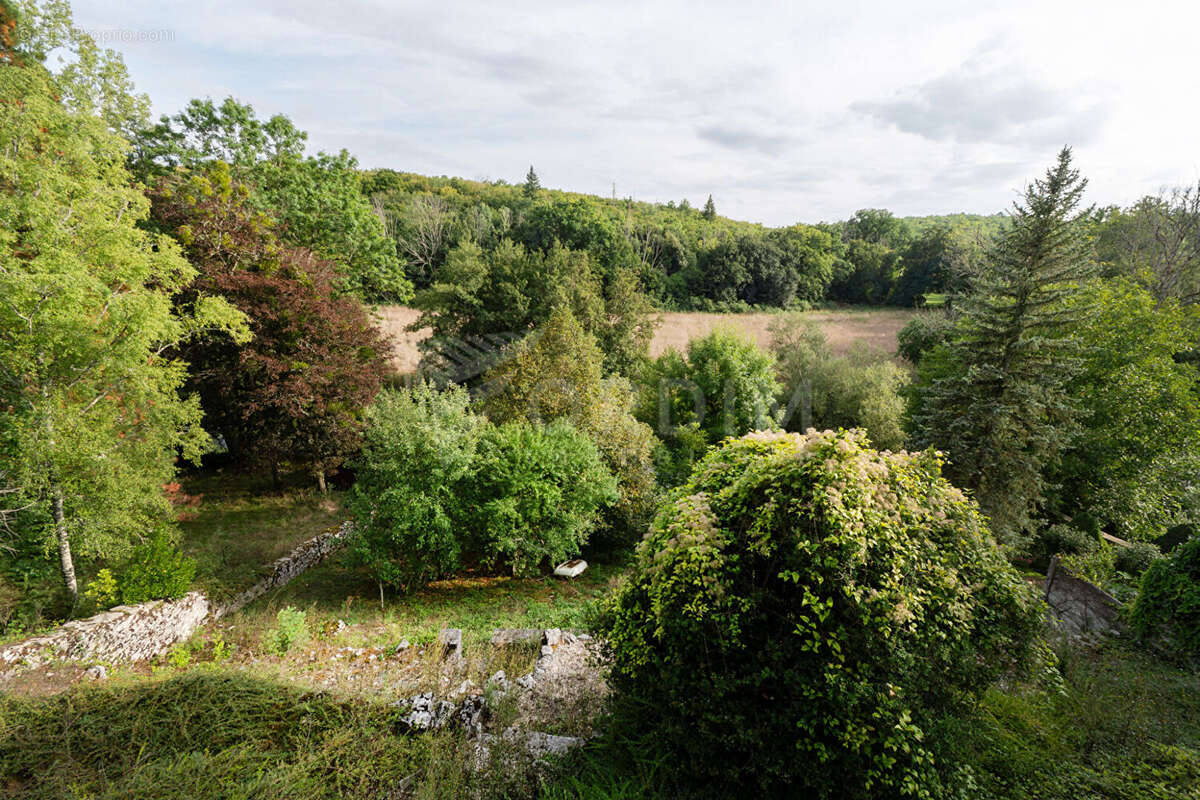 Maison Grimault - photo 8