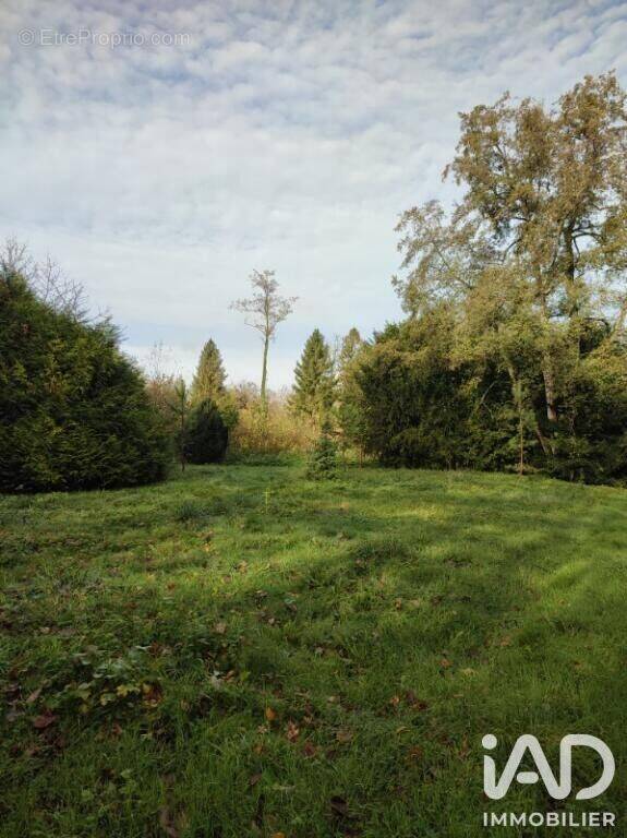 Photo 1 - Terrain à BOULT-SUR-SUIPPE