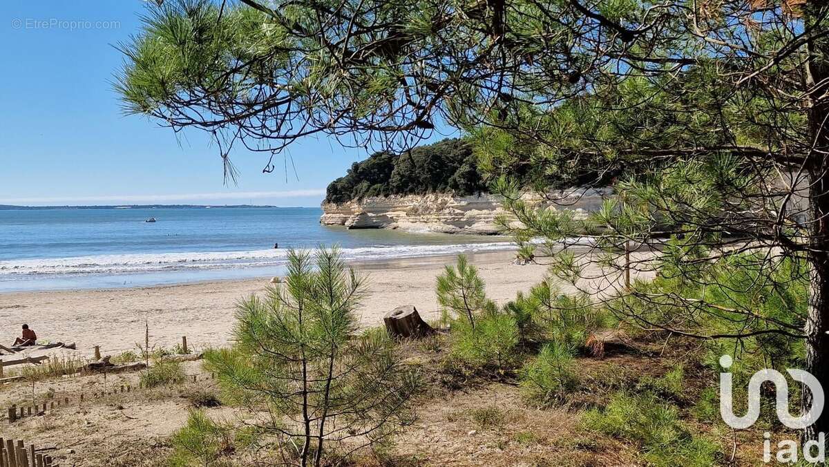 Photo 3 - Maison à MESCHERS-SUR-GIRONDE