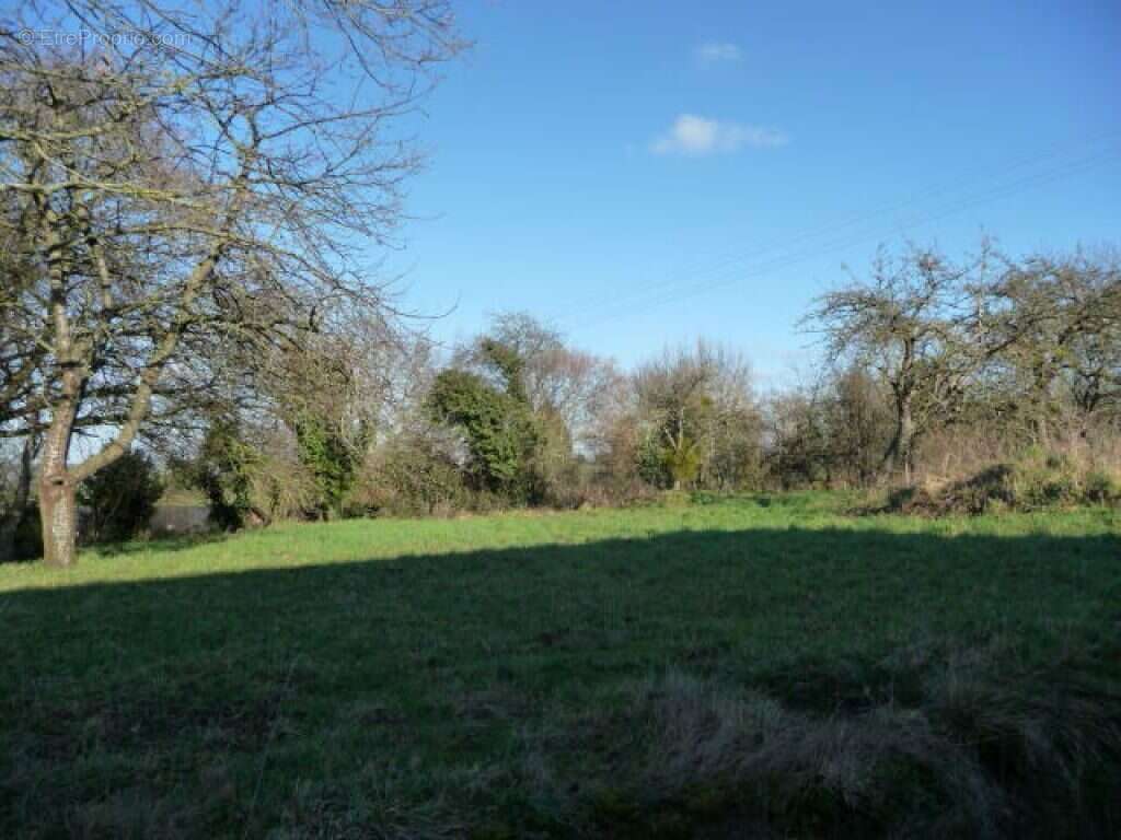 Maison à SAINT-GERMAIN-DE-COULAMER