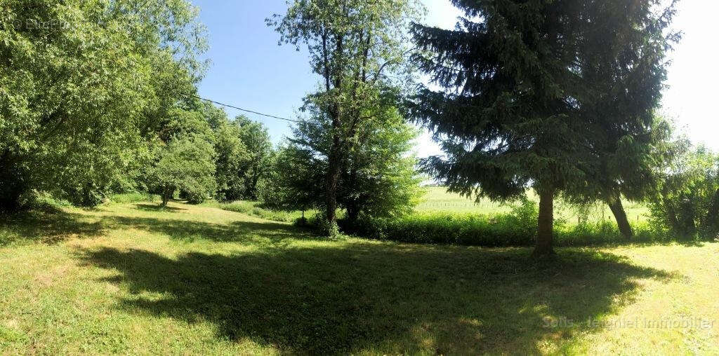 Maison 253 m² à Sens  - photo 20