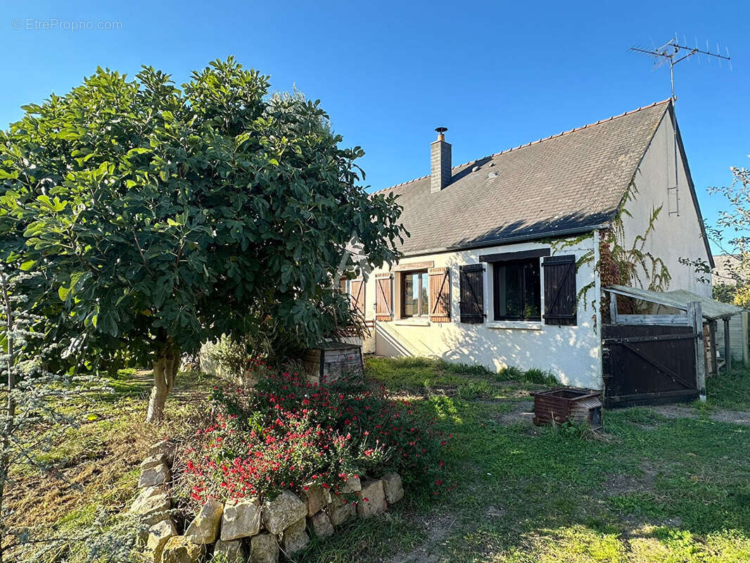 Maison à LE COUDRAY-MACOUARD