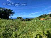Terrain à LE MORNE-VERT