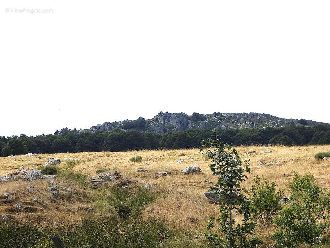 (1460 m²) Ancienne ferme avec vue sur le Mont Gerbier de Jonc  - photo 5