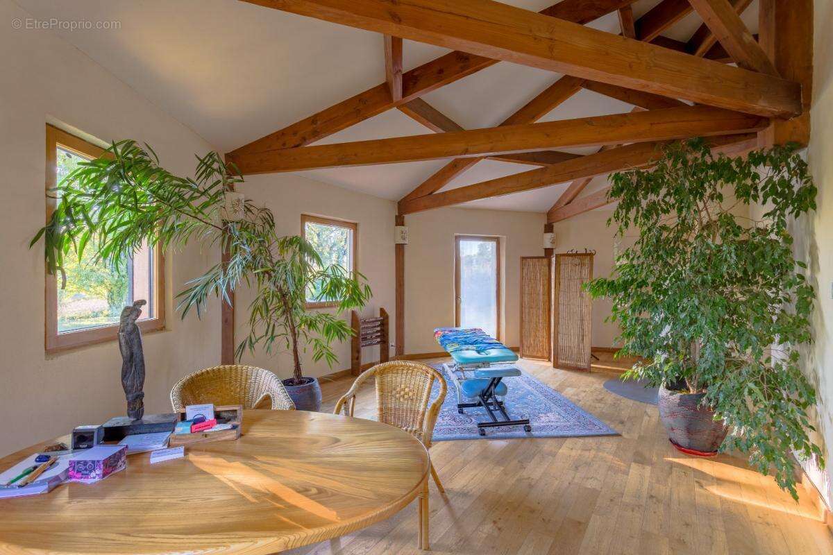 Commerce à CASTELNAU-DE-LEVIS