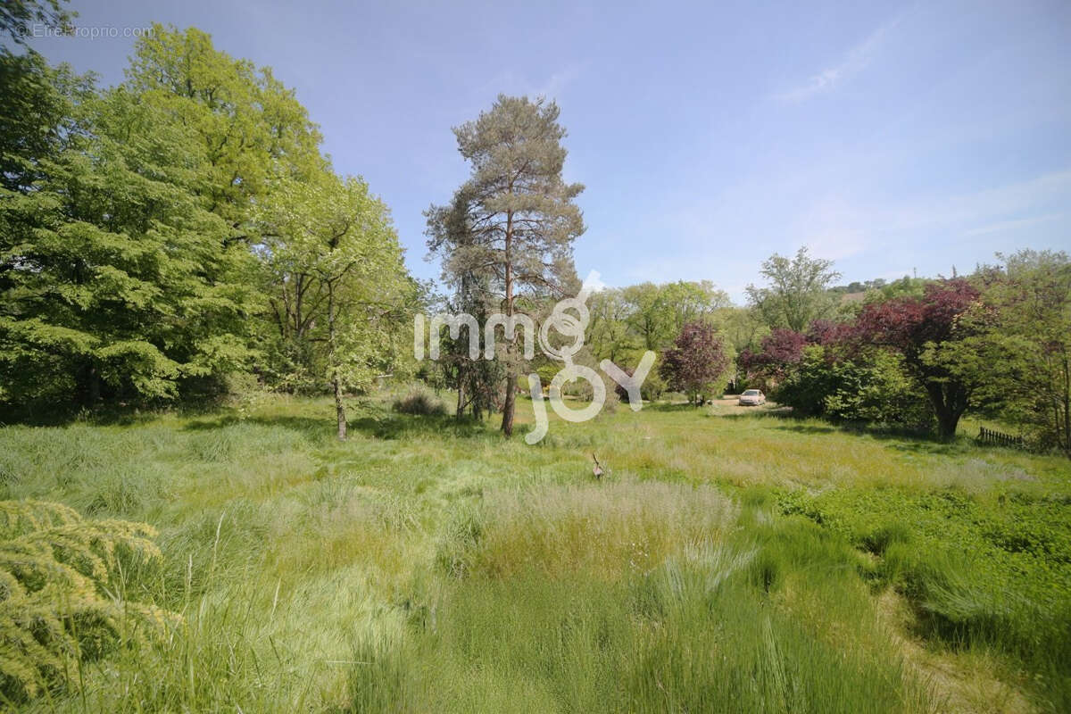 Caujac, environnement magnifique, petite maison de plain-pied au milieu de 3 hectares - photo 2
