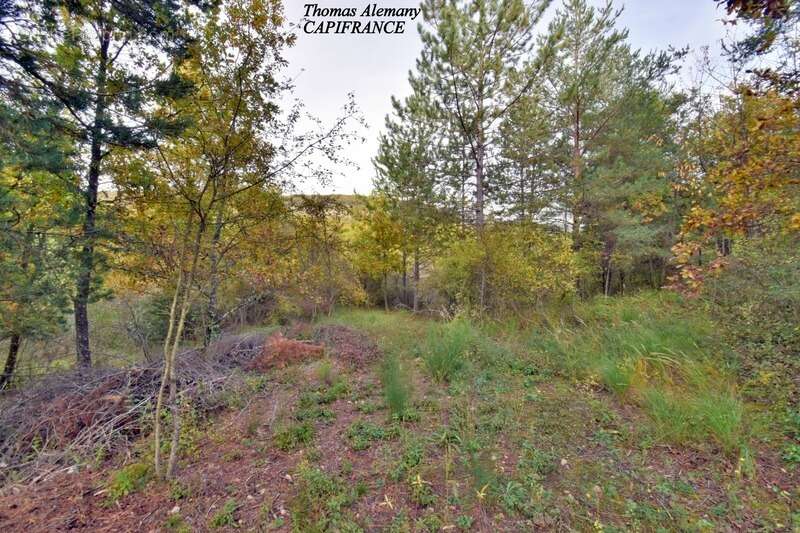 Terrain à bâtir de 3802 m². Libre Constructeur. ESTOUBLON (04) - photo 5