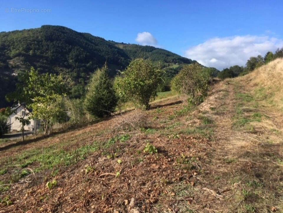 Terrain à ENTRAYGUES-SUR-TRUYERE