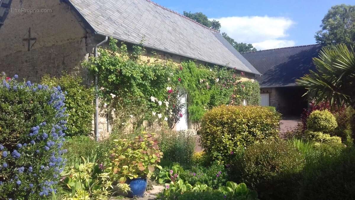Maison à DOMJEAN