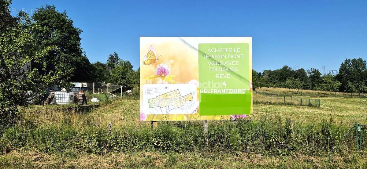 Terrain à HELFRANTZKIRCH