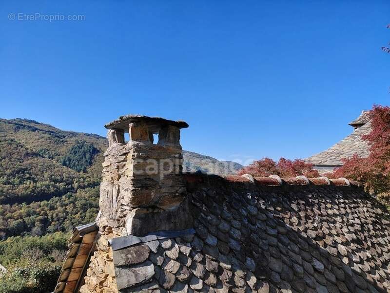 Maison à VIEILLEVIE