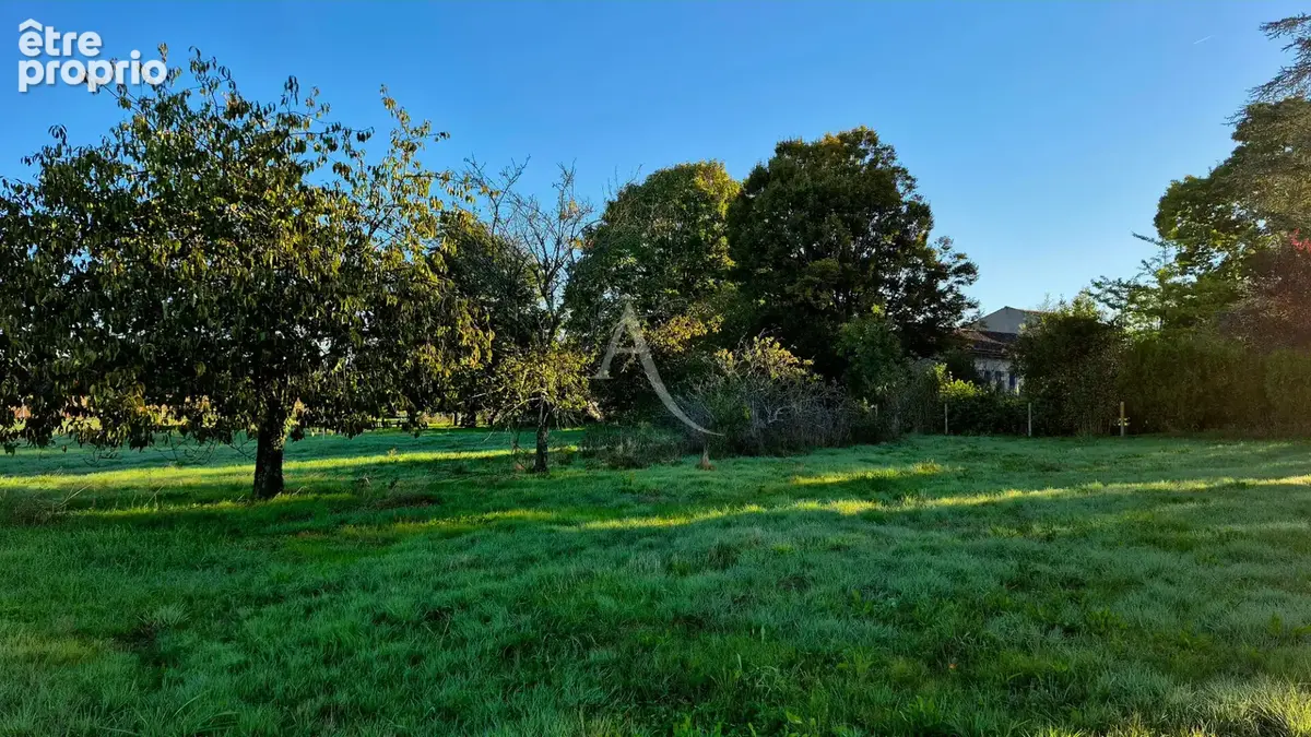 Terrain constructible à vendre " non viabilisé " à Ecoyeux de 3140m² - photo 1
