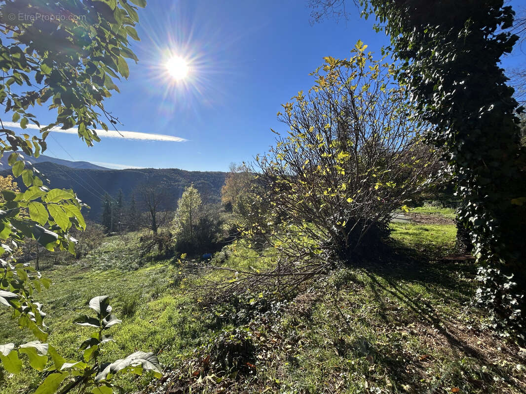 À Corsavy (66), terrain de 1500m2 à acheter - photo 6
